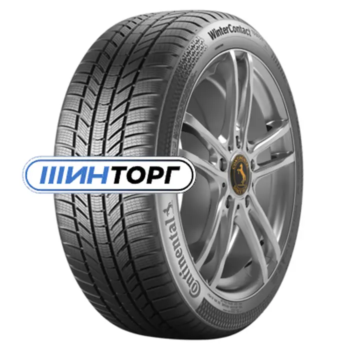 Continental WinterContact TS 870 P 285/35 R21 105V