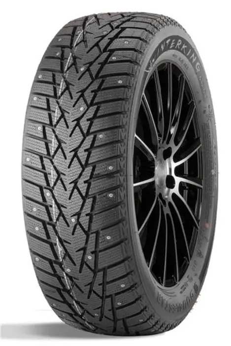 Double Star DW01 225/65 R17 102T